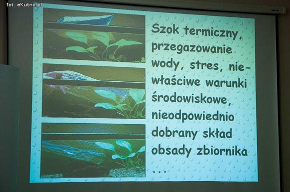 Pod patronatem eKutno.pl: II Sympozjum Akwarystyczne w Żychlinie