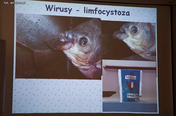 Pod patronatem eKutno.pl: II Sympozjum Akwarystyczne w Żychlinie