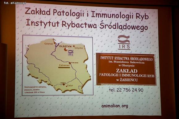 Pod patronatem eKutno.pl: II Sympozjum Akwarystyczne w Żychlinie