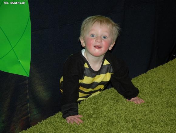 W zaczarowanym lesie - bal karnawałowy w KDK