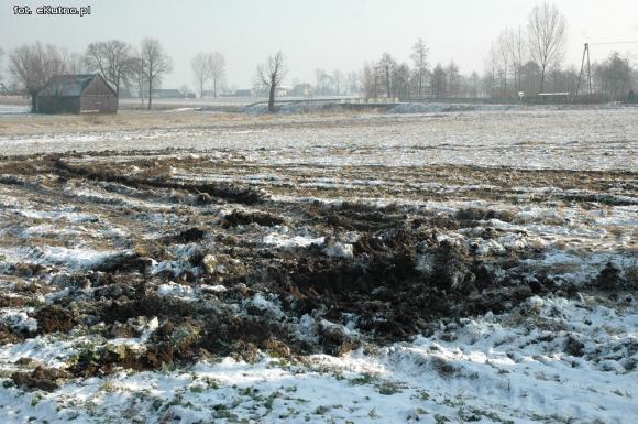 Kursująca beczka osadów po powiecie kutnowskim. Dowód na polu?
