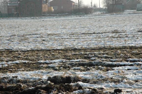 Kursująca beczka osadów po powiecie kutnowskim. Dowód na polu?