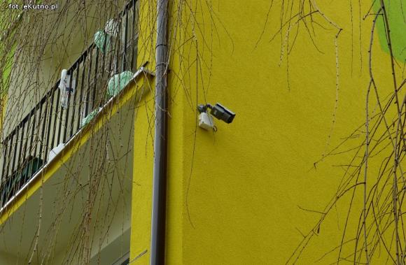 eKutno z plusem: Kamery są, spokój jest, ale jak tu teraz podrapać się po tyłku?