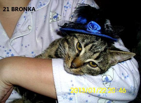 eKotno: Wybieramy NAJKOTA