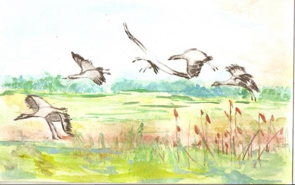 IV edycja  konkursu plastycznego 