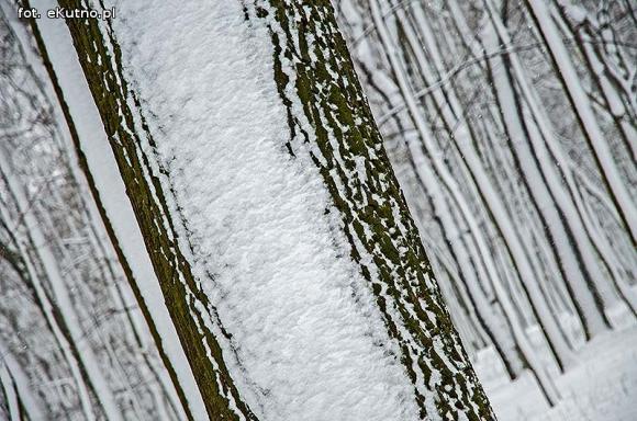Sypany Poniedziałek? Śmigus Dyngus i niebezpieczne dachowe lawiny