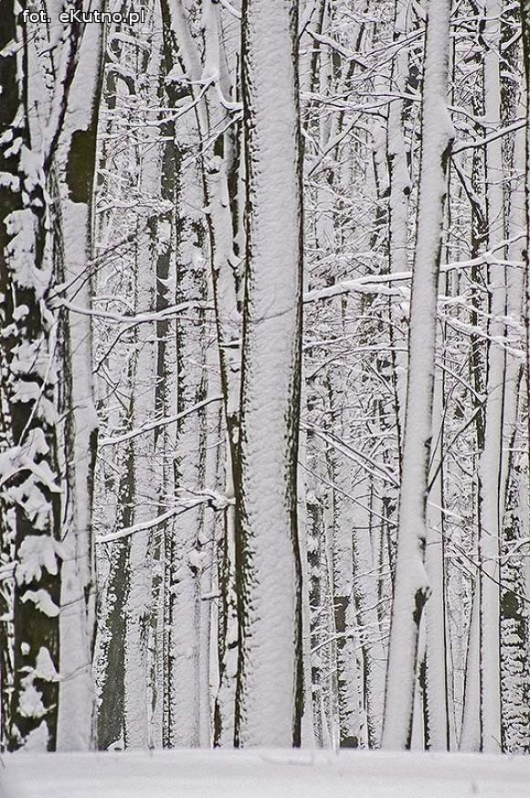 Sypany Poniedziałek? Śmigus Dyngus i niebezpieczne dachowe lawiny