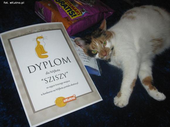 eKotno: NAJKOTY z dyplomami i nagrodami