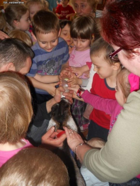 Tradycja zamknięta w mleku