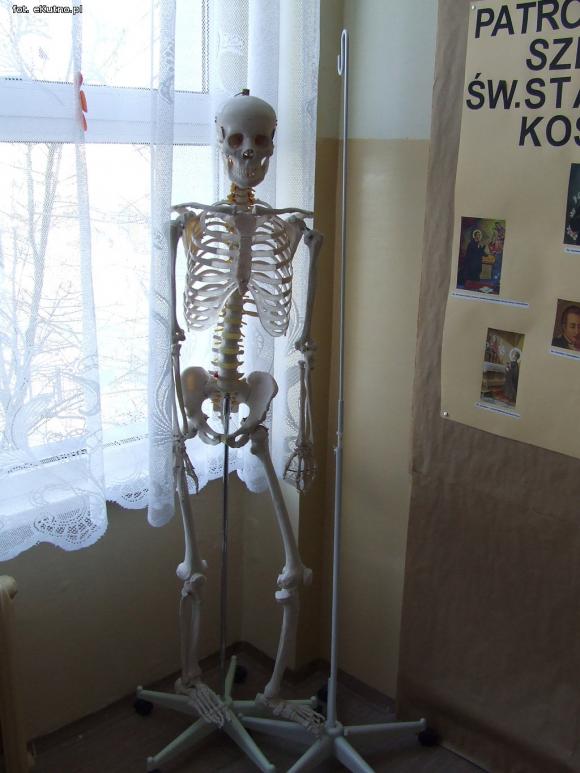 Dni otwarte w Katolickim Liceum Ogólnokształcącym  SPSK