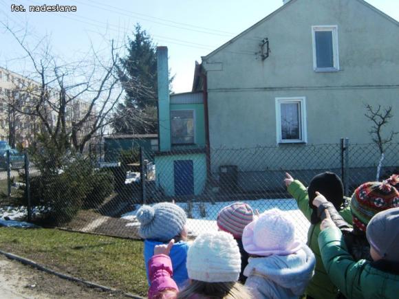 Profilaktyka antynikotynowa w 