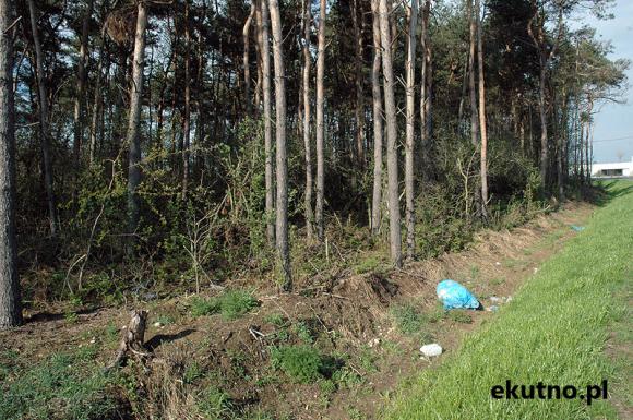 DNI ZIEMI: Mieszkańcy sprzątali w Podstrefie Kutno