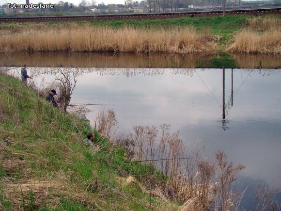 Jarosław Koliński z Pucharem Wójta Gminy Nowe Ostrowy