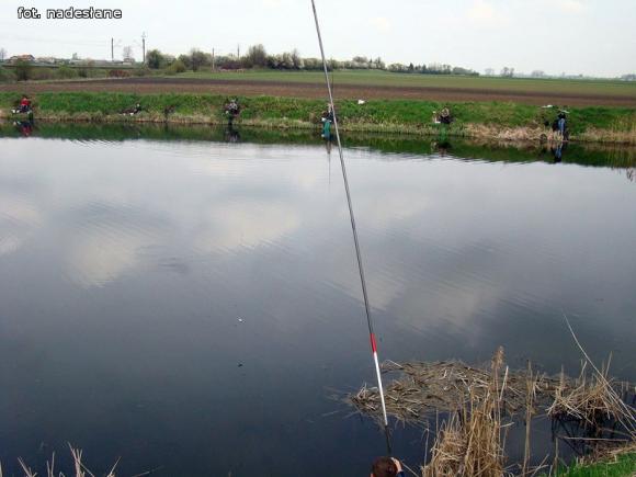 Jarosław Koliński z Pucharem Wójta Gminy Nowe Ostrowy