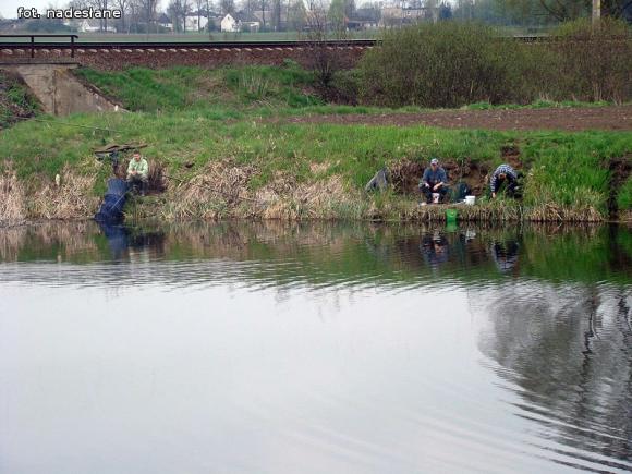 Jarosław Koliński z Pucharem Wójta Gminy Nowe Ostrowy