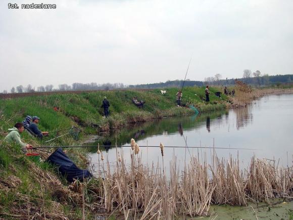 Jarosław Koliński z Pucharem Wójta Gminy Nowe Ostrowy