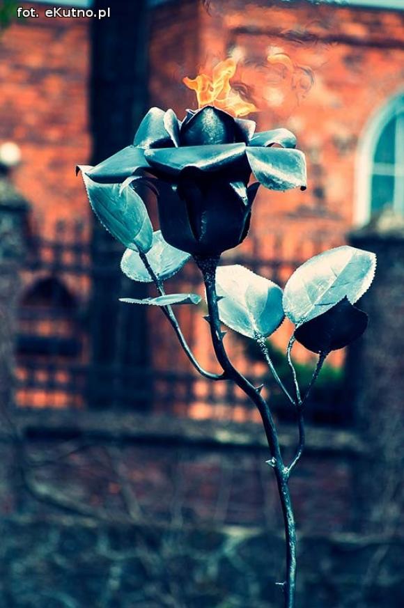 Musi być jakieś życie na osiedlu