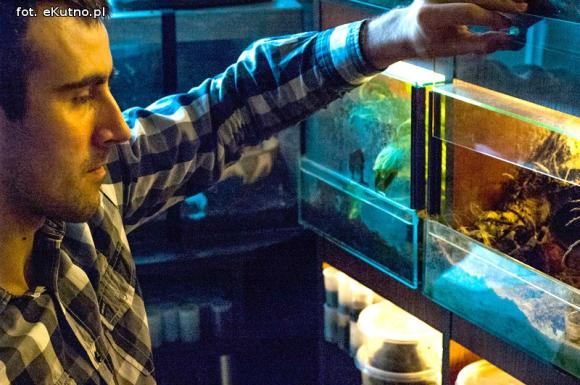 Pod patronatem eKutno.pl: Wystawa ptaszników. Pasje Mariusza Arenta