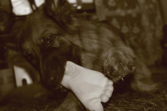 NAJPSA będzie trudno wybrać