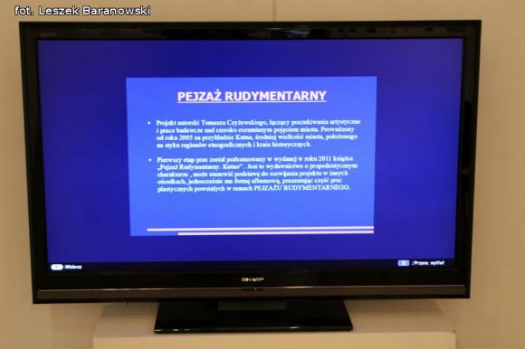 Pejzaż rudymentarny Tomasza Czyżewskiego w Łodzi