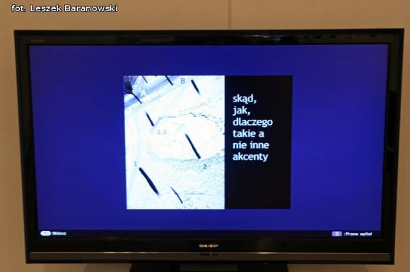 Pejzaż rudymentarny Tomasza Czyżewskiego w Łodzi