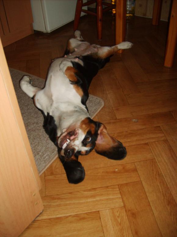 Ostatnia porcja słodyczy. Wkrótce głosowanie na NAJPSA