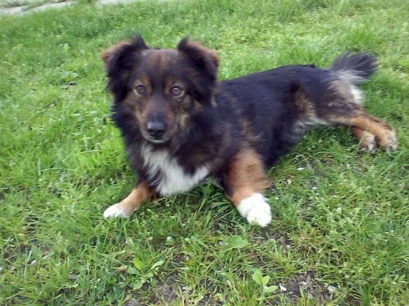 Ostatnia porcja słodyczy. Wkrótce głosowanie na NAJPSA