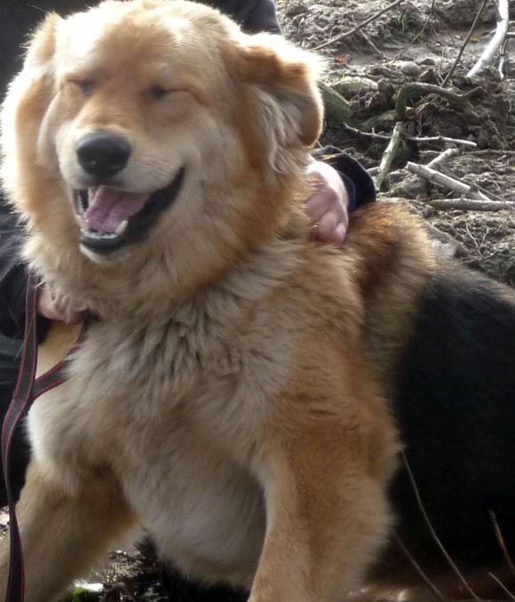 Ostatnia porcja słodyczy. Wkrótce głosowanie na NAJPSA