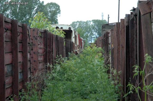 Z miłości do zabytkowej krośniewickiej kolejki wąskotorowej. Burmistrz przeciw?