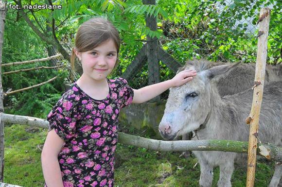Relacja: Takiego festynu w Szewcach Nadolnych nie było