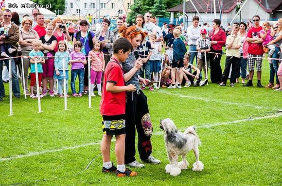 Kutno dla dzieci: Rodzinny zawrót głowy