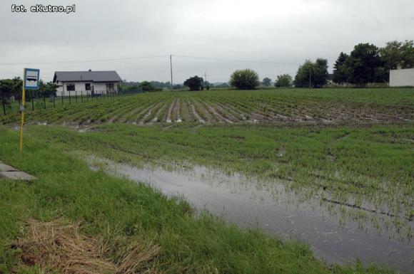 Problemy z melioracją we Wroczynach