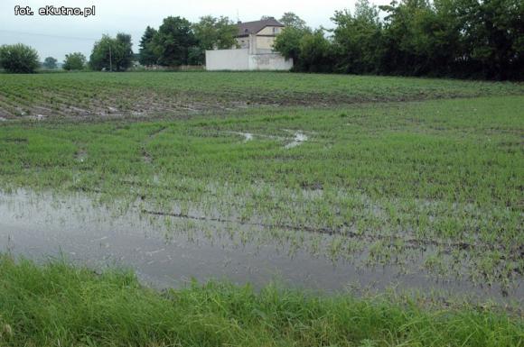 Problemy z melioracją we Wroczynach
