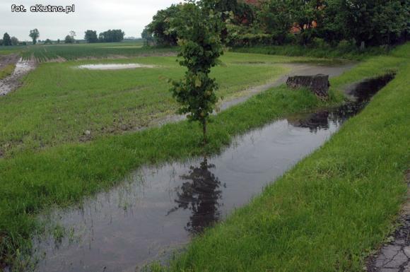 Problemy z melioracją we Wroczynach