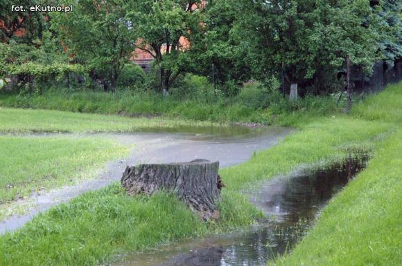 Problemy z melioracją we Wroczynach