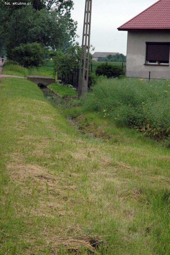 Problemy z melioracją we Wroczynach