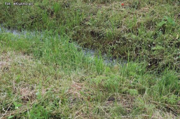 Problemy z melioracją we Wroczynach