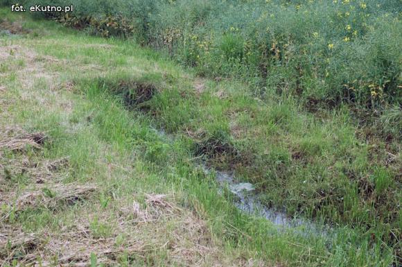 Problemy z melioracją we Wroczynach