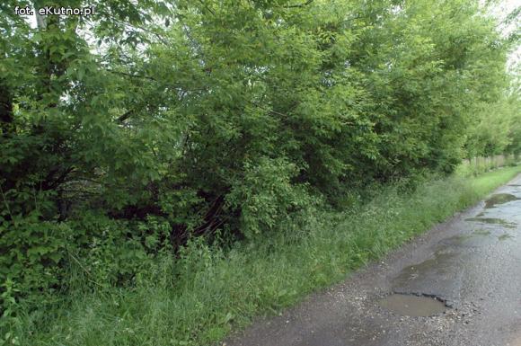 Problemy z melioracją we Wroczynach