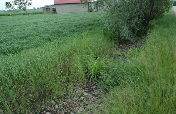 Problemy z melioracją we Wroczynach