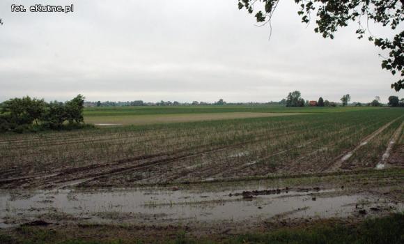 Problemy z melioracją we Wroczynach