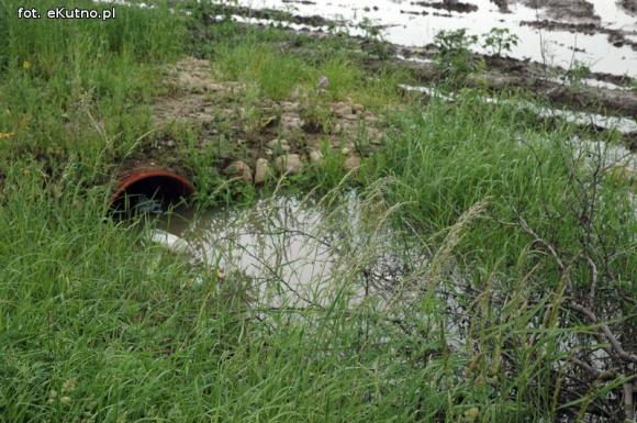 Problemy z melioracją we Wroczynach