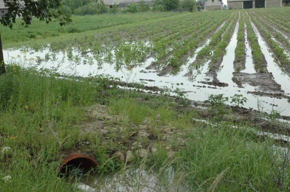 Problemy z melioracją we Wroczynach