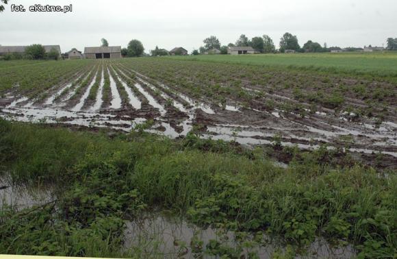 Problemy z melioracją we Wroczynach