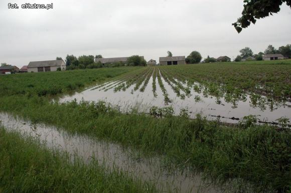 Problemy z melioracją we Wroczynach