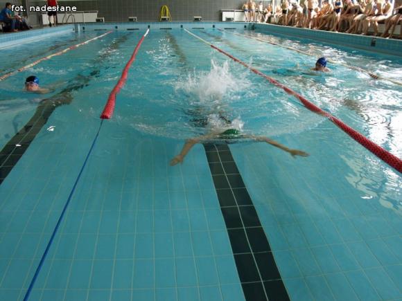 Mistrzostwa Szkoły Podstawowej nr 9 w pływaniu