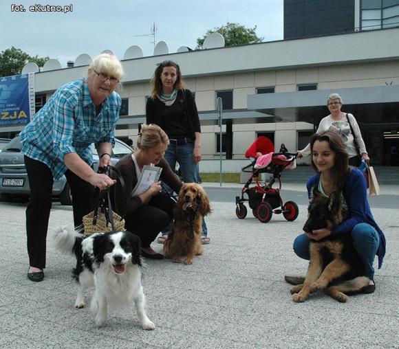 Nagrody dla NAJPSÓW rozdane