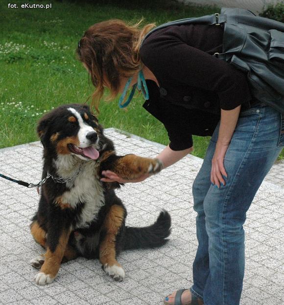 Nagrody dla NAJPSÓW rozdane
