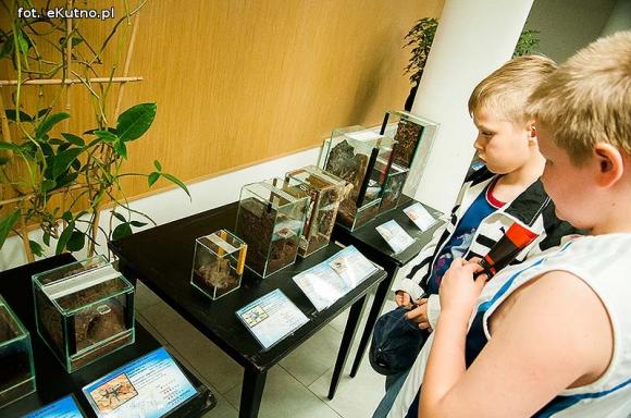 Pod patronatem eKutno.pl: Wystawa ptaszników Mariusza Arenta