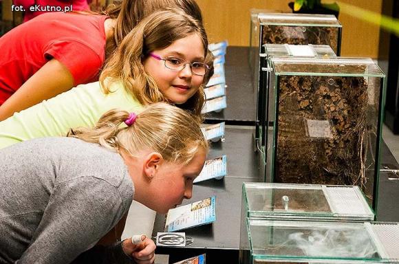 Pod patronatem eKutno.pl: Wystawa ptaszników Mariusza Arenta